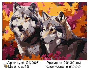 CN0061 Картины по номерам 20*30 цвет.холст Под заказ