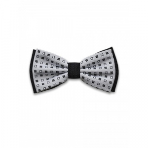 Бабочка Tsarevich 47