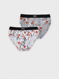 Трусы-брифы для мальчика, 2 шт в комплекте