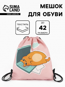 Мешок для обуви «Кошечка», на стяжке, 36?0.5?42 см