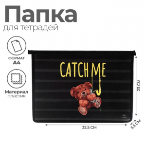 Папка для тетрадей А4, 325 х 230 х 55 мм, молния сверху, пластиковая, ПМ-А4-29 Calligrata 