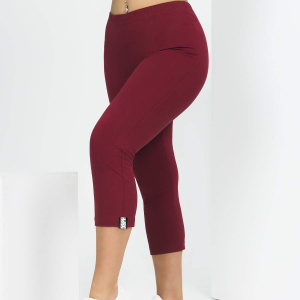 Бриджи-3 (бордо) Оз