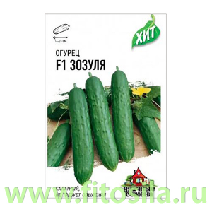 Огурец Зозуля F1 0,3 г ХИТ х3 (семена для проращивания)