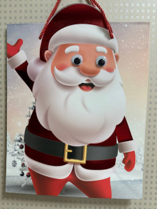 Пакет подарочный (26*32*10см) (в ассортименте) (3602)