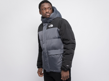 Куртка зимняя The North Face