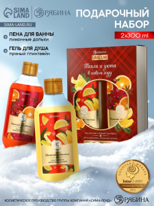 Подарочный набор новогодний URAL LAB «Моменты счастья»: гель для душа и пена для ванны, 2?300 мл