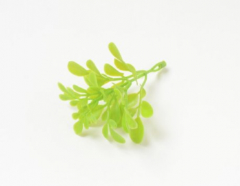 Искусственные цветы, Ветка - лист самшита для венка (1010237)