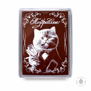 Котик с тюльпанами 