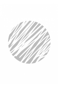 Жилет ДВОЙНОЙ, цвет ЗАПЛАТКА