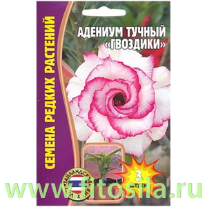 Адениум Гвоздики 3 шт. (семена для проращивания)