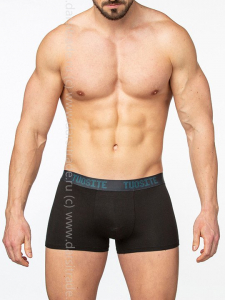 TS7801-6 Трусы мужские Дроп Tousite боксеры