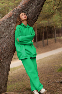 худи с брюками 
41.D44.100-D49.761-зелёный
