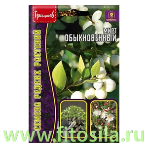 Мирт Обыкновенный 10шт. (семена для проращивания)