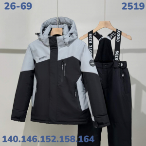 Костюм 2519 серый