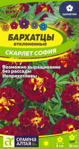 Бархатцы Скарлет София Сем.Алтая