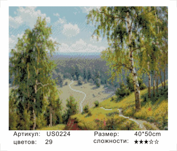 US0224 Без подрамника мозаика 40*50