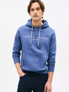 Embroidered Tommy Logo Hoodie
