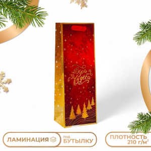 Пакет подарочный новогодний под бутылку «Верь в чудеса», 13?36?10 см