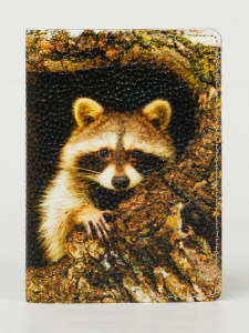 Обложка для паспорта VITA2