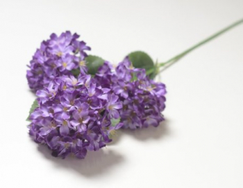 Искусственные цветы, Ветка с цветами 3 головы (1010237)