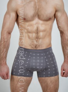 SD2036-3 Трусы мужские Salvador Dali Дроп боксеры