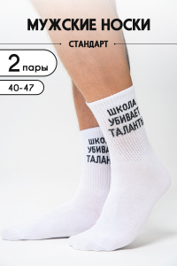 Носки мужские Талант комплект 2 пары