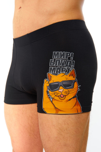 Трусы EMOTION DAY Мартовский кот
