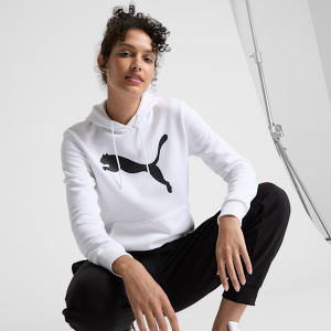 Essentials Big Cat Logo