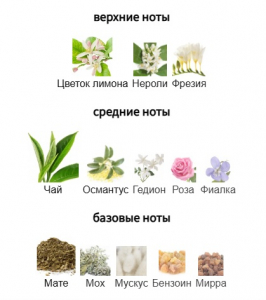 ORMONDE JAYNE QI INTENSIVO 10ml parfume