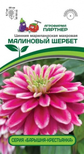 3378P Цинния МАЛИНОВЫЙ ЩЕРБЕТ / мариландская махровая 5шт
