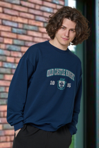 толстовка мужская 3498-26 Новинка