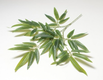 Искусственные цветы, Ветка кустовая бамбук (1010237) зеленый