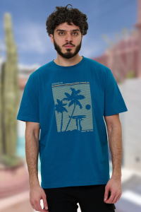 футболка мужская 2852-21