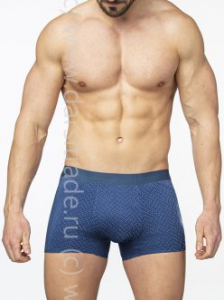 SG2925-2 Трусы мужские Sergio Dallini Дроп боксеры