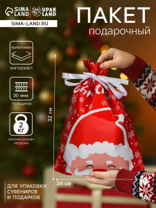 Пакет подарочный новогодний с завязками, «Дед Мороз», 24?32 см