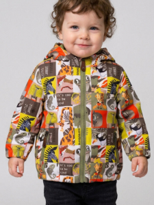 Ветровка для мальчика