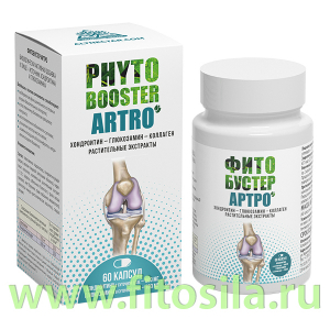 ФИТОБУСТЕР АРТРО