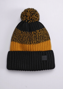 CLEVER Шапка 433838ап флис