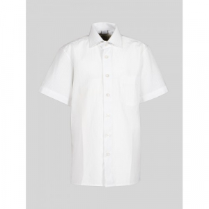 Сорочка детская Tsarevich Boss 1-K