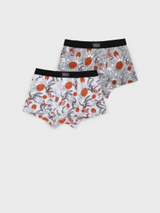 Трусы-боксеры для мальчика, 2 шт в комплекте