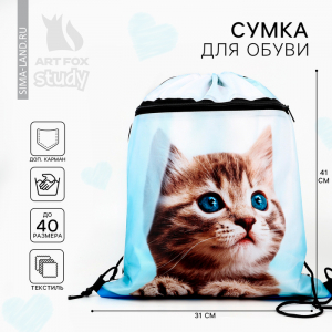 Мешок для обуви «Милый котик» (с карманом) 41?31 см