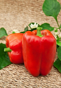 Перец сладкий Красное чудо 0,1 гр цв.п