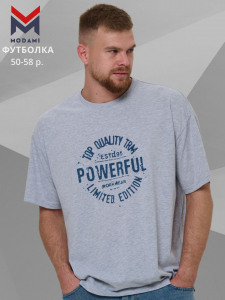 футболка мужская 2976-03
