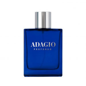 Парфюмерная вода DILIS  для мужчин La Vie Adagio Profondo 100 мл