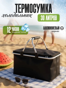 Термосумка/холодильник (в ассортименте) (3765)