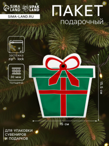 Пакет подарочный новогодний «Подарок», с zip - lock застежкой 15?15.5 см