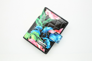 Женская кожаная визитница Sergio Valentini СВ 3269-010