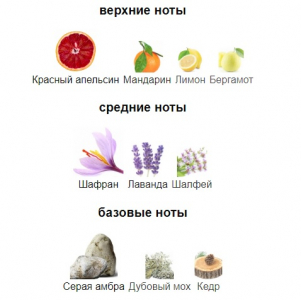 ELECTIMUSS TRAJAN 100ml parfume tester