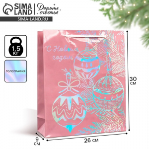 Пакет новогодний подарочный голографический «С Новым годом», M 26?30?9 см