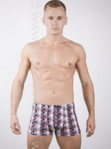 Трусы мужские GS7745 Gentlemen шорты